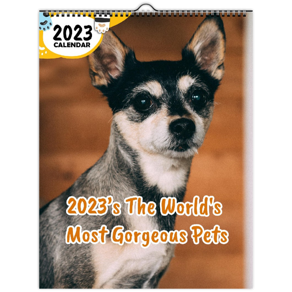 2023's The World's Most Gorgeous Pets: 2023 Wall Calendar
