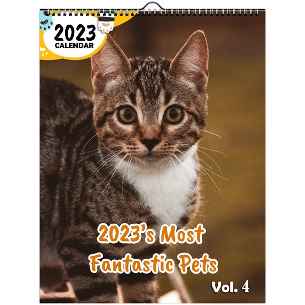 2023's Most Fantastic Pets Volume Four: 2023 Wall Calendar
