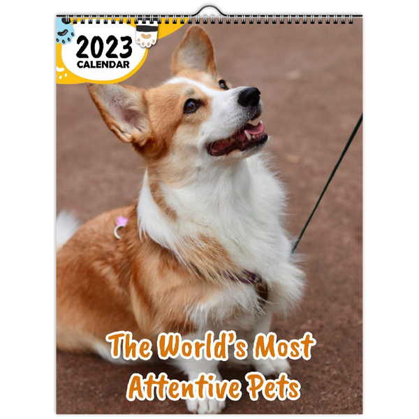 The World's Most Attentive Pets: 2023 Wall Calendar