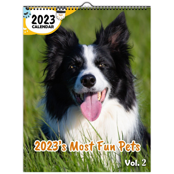 2023's Most Fun Pets Volume Two: 2023 Wall Calendar