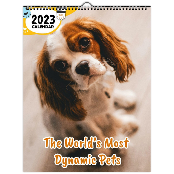 The World's Most Dynamic Pets: 2023 Wall Calendar