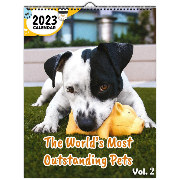 The World's Most Outstanding Pets Volume Two: 2023 Wall Calendar