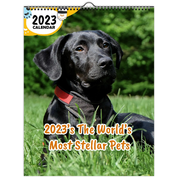 2023's The World's Most Stellar Pets: 2023 Wall Calendar