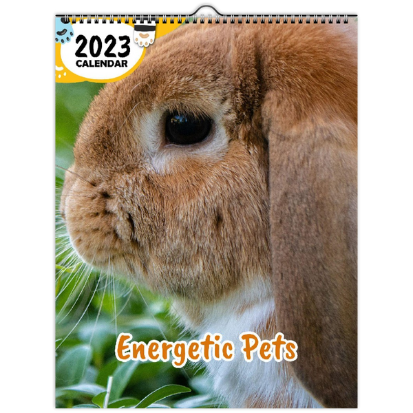 Energetic Pets: 2023 Wall Calendar
