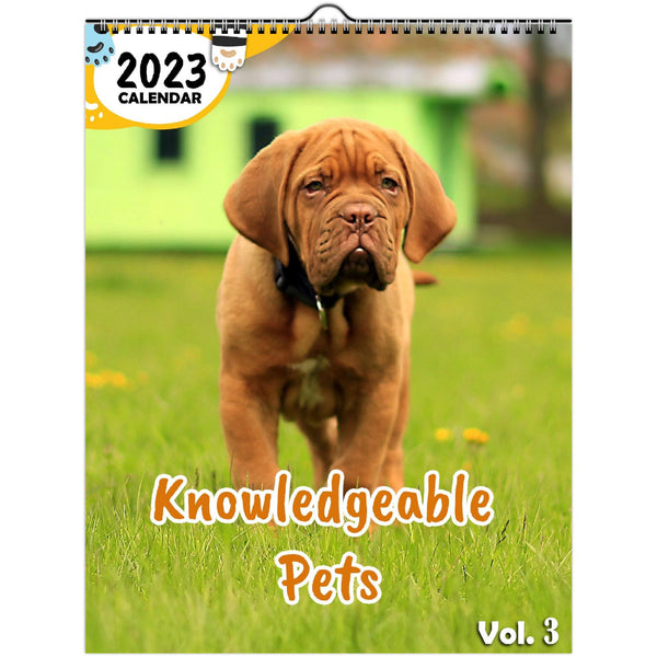 Knowledgeable Pets Volume Three: 2023 Wall Calendar