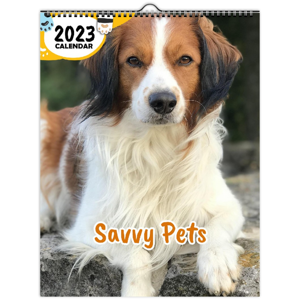 Savvy Pets: 2023 Wall Calendar