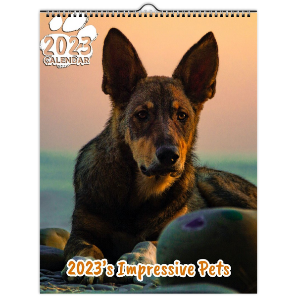 2023's Impressive Pets: 2023 Wall Calendar