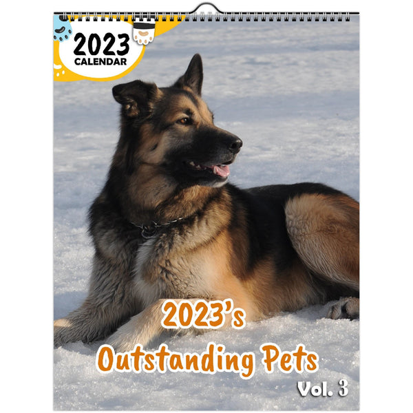2023's Outstanding Pets Volume Three: 2023 Wall Calendar