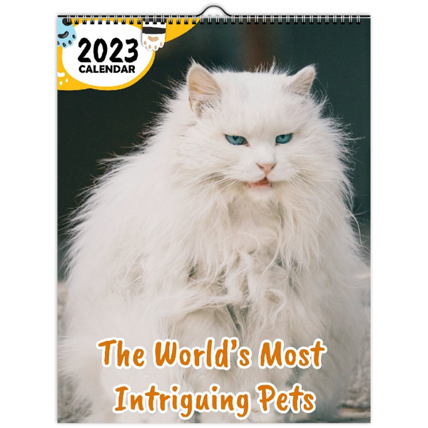 The World's Most Intriguing Pets: 2023 Wall Calendar