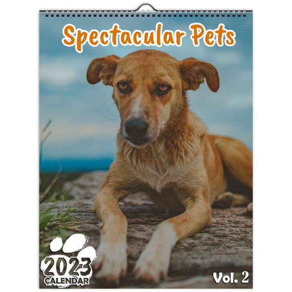 Spectacular Pets Volume Two: 2023 Wall Calendar