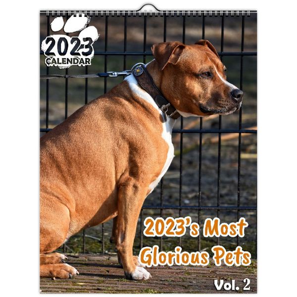 2023's Most Glorious Pets Volume Two: 2023 Wall Calendar