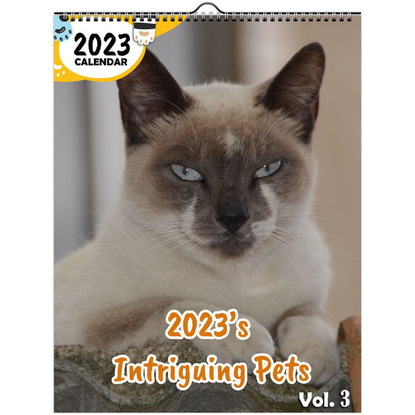2023's Intriguing Pets Volume Three: 2023 Wall Calendar