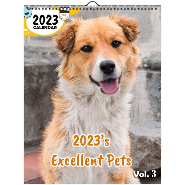 2023's Excellent Pets Volume Three: 2023 Wall Calendar