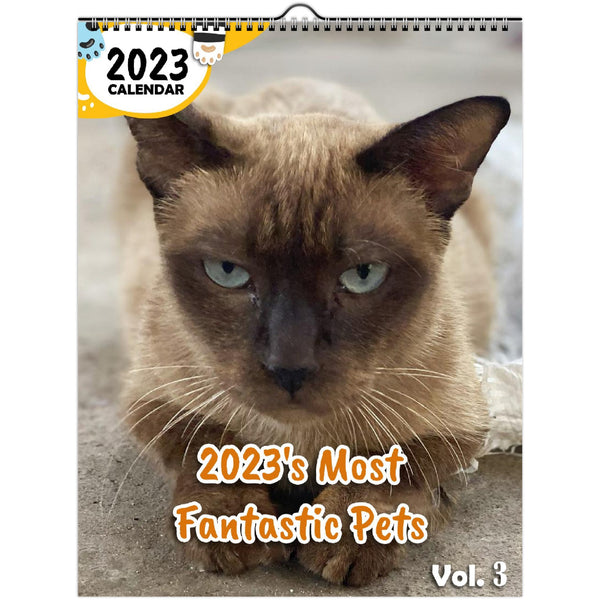 2023's Most Fantastic Pets Volume Three: 2023 Wall Calendar