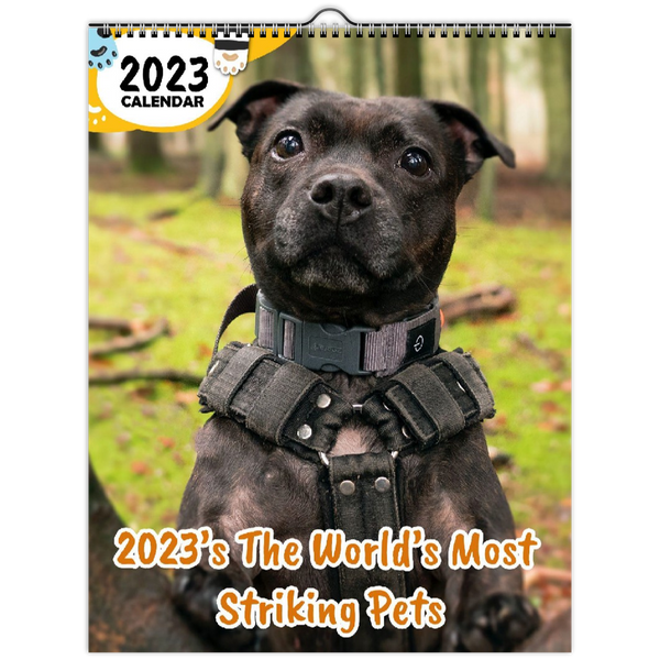 2023's The World's Most Striking Pets: 2023 Wall Calendar