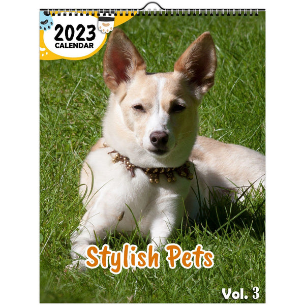 Stylish Pets Volume Three: 2023 Wall Calendar