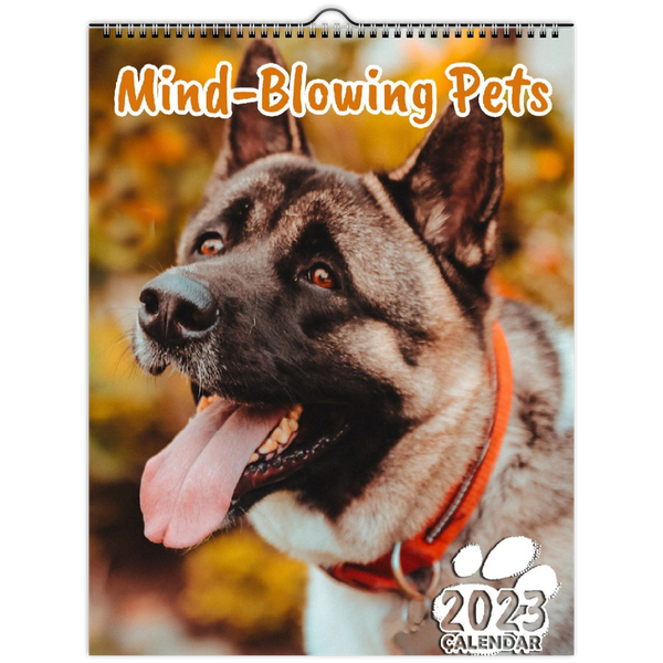Mind-Blowing Pets: 2023 Wall Calendar