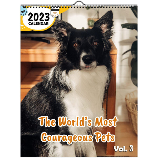The World's Most Courageous Pets Volume Three: 2023 Wall Calendar