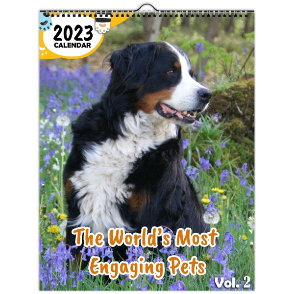 The World's Most Engaging Pets Volume Two: 2023 Wall Calendar