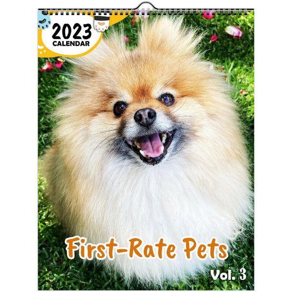 First-Rate Pets Volume Three: 2023 Wall Calendar