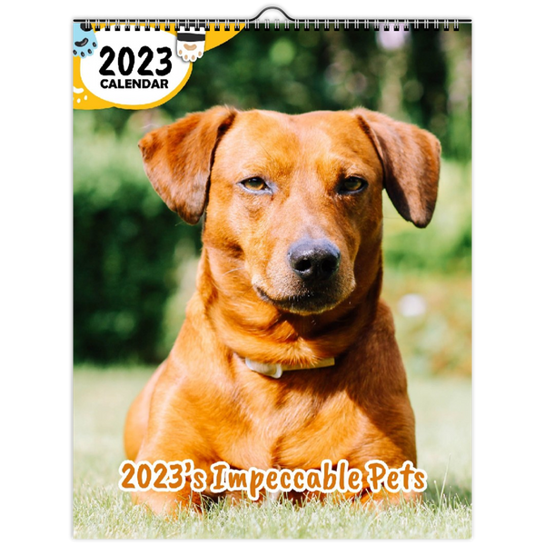 2023's Impeccable Pets: 2023 Wall Calendar