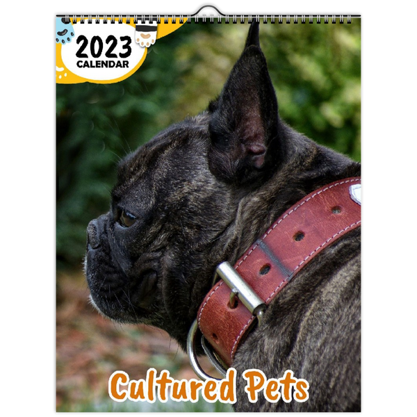 Cultured Pets: 2023 Wall Calendar