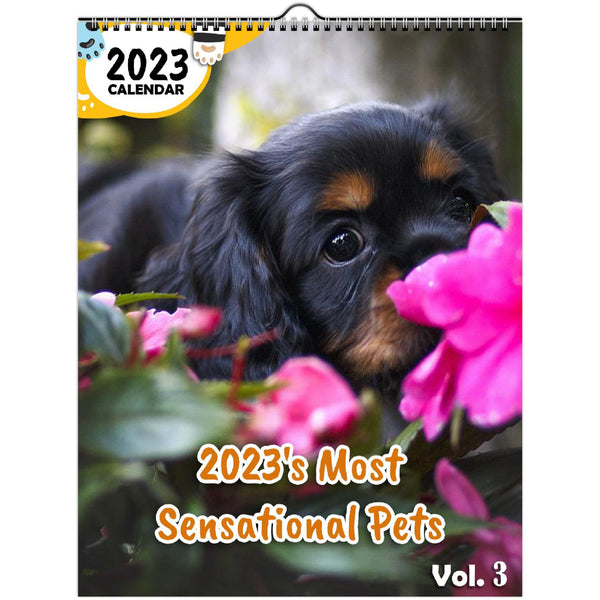 2023's Most Sensational Pets Volume Three: 2023 Wall Calendar