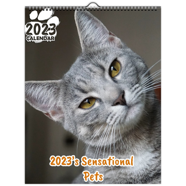 2023's Sensational Pets: 2023 Wall Calendar