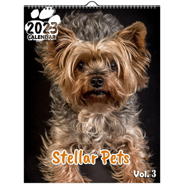 Stellar Pets Volume Three: 2023 Wall Calendar