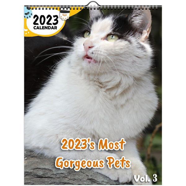 2023's Most Gorgeous Pets Volume Three: 2023 Wall Calendar