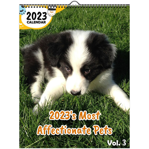 2023's Most Affectionate Pets Volume Three: 2023 Wall Calendar