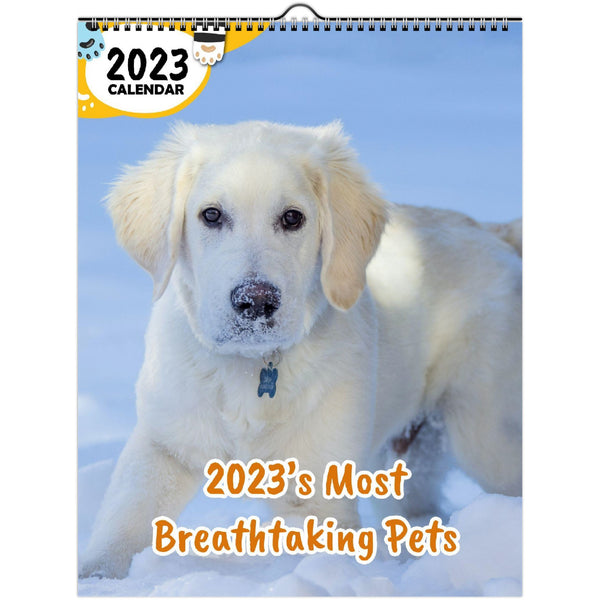 2023's Most Breathtaking Pets: 2023 Wall Calendar