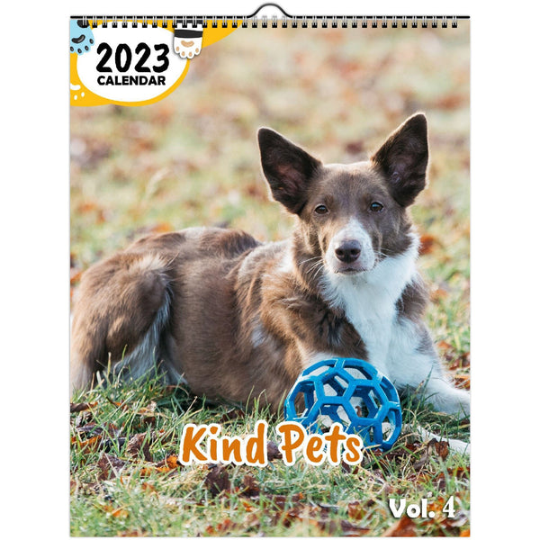 Kind Pets Volume Four: 2023 Wall Calendar
