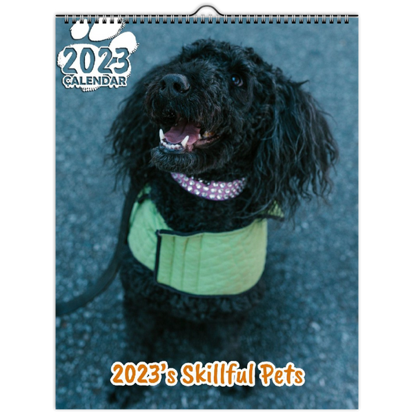 2023's Skillful Pets: 2023 Wall Calendar