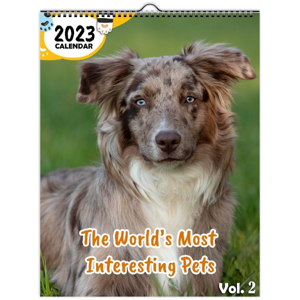 The World's Most Interesting Pets Volume Two: 2023 Wall Calendar