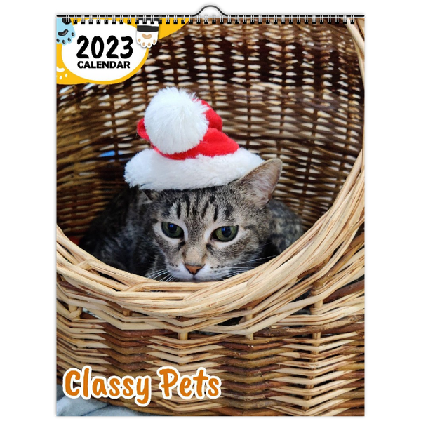 Classy Pets: 2023 Wall Calendar