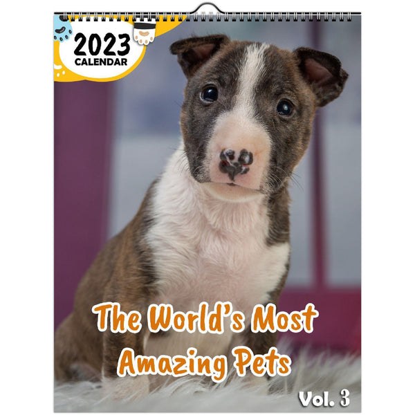 The World's Most Amazing Pets Volume Three: 2023 Wall Calendar