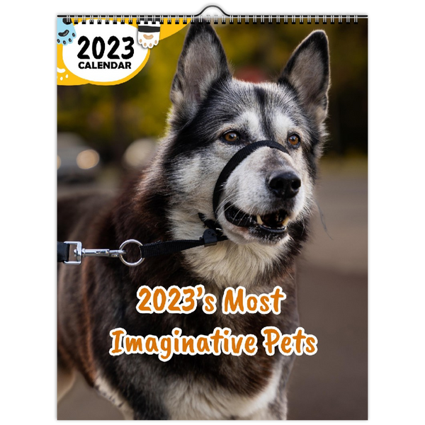 2023's Most Imaginative Pets: 2023 Wall Calendar