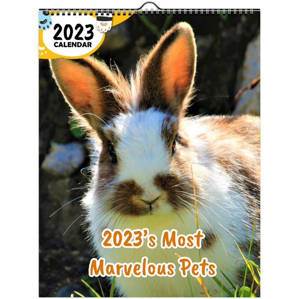 2023's Most Marvelous Pets: 2023 Wall Calendar