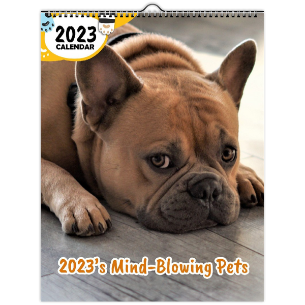 2023's Mind-Blowing Pets: 2023 Wall Calendar