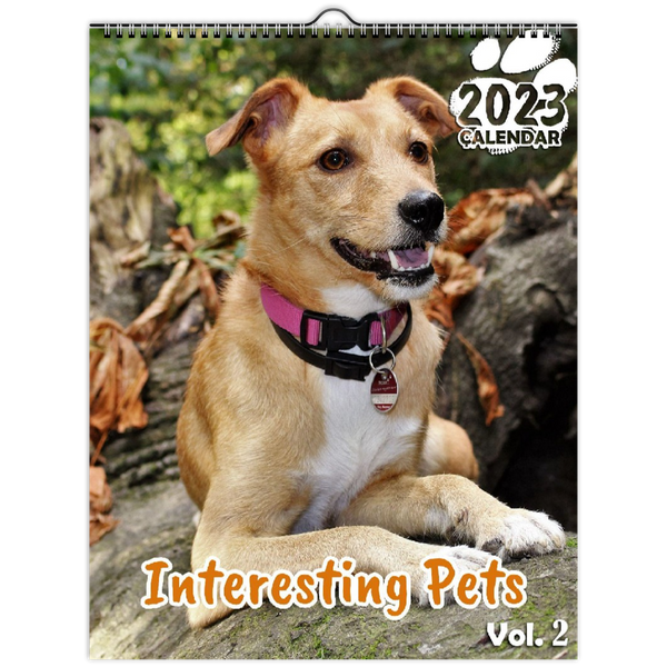Interesting Pets Volume Two: 2023 Wall Calendar