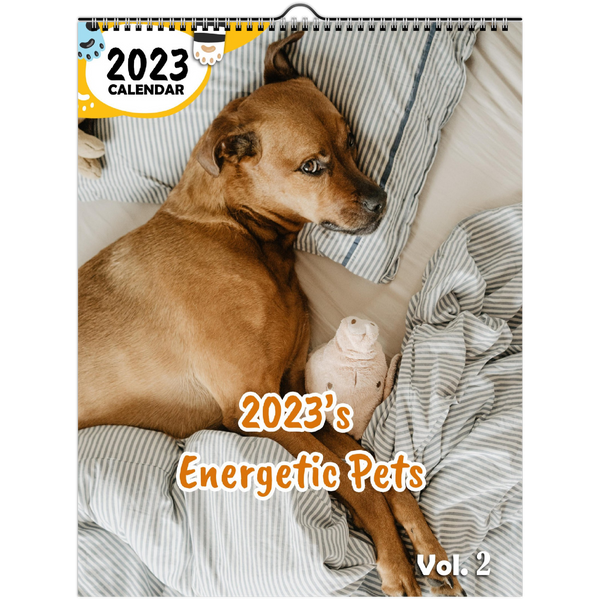 2023's Energetic Pets Volume Two: 2023 Wall Calendar