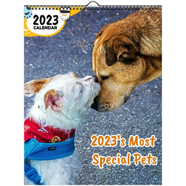 2023's Most Special Pets: 2023 Wall Calendar