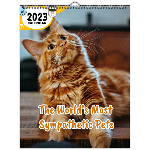 The World's Most Sympathetic Pets: 2023 Wall Calendar