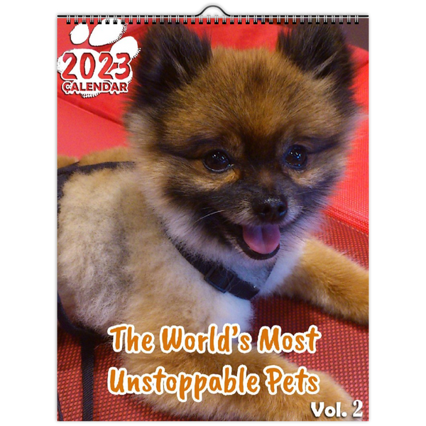 The World's Most Unstoppable Pets Volume Two: 2023 Wall Calendar