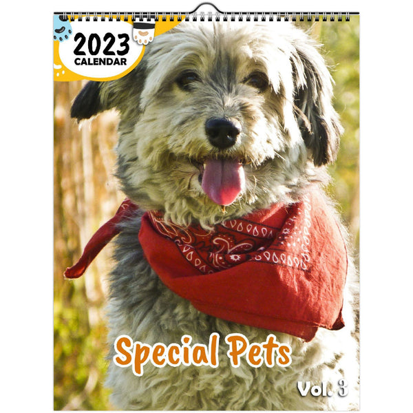 Special Pets Volume Three: 2023 Wall Calendar