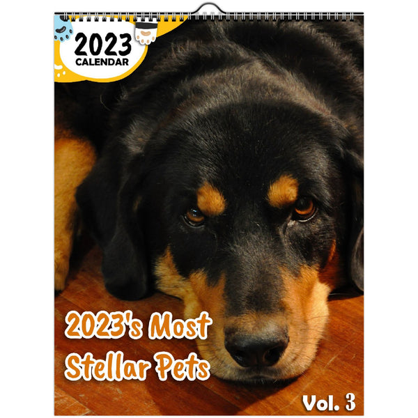 2023's Most Stellar Pets Volume Three: 2023 Wall Calendar