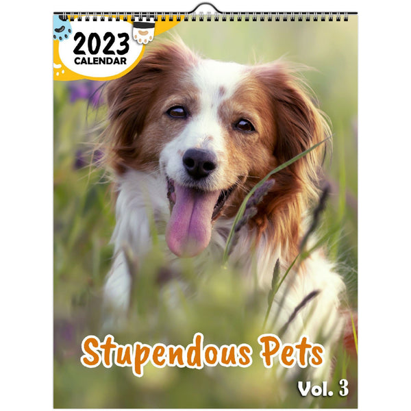 Stupendous Pets Volume Three: 2023 Wall Calendar