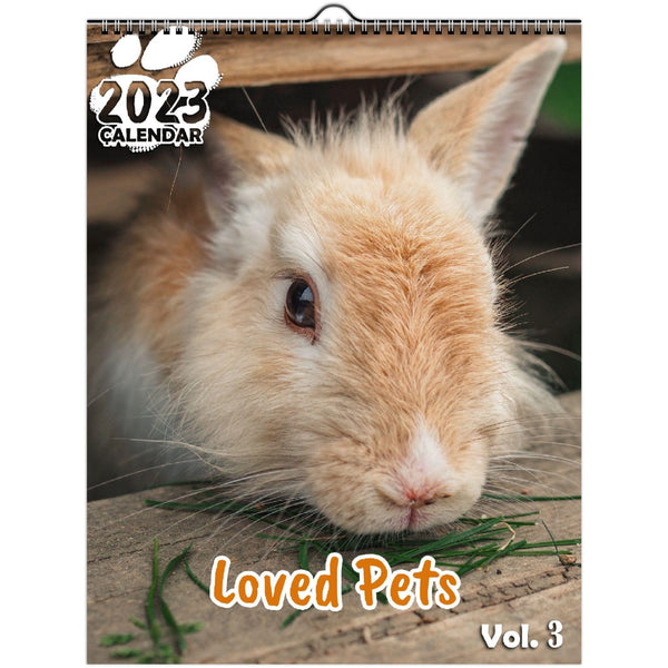 Loved Pets Volume Three: 2023 Wall Calendar