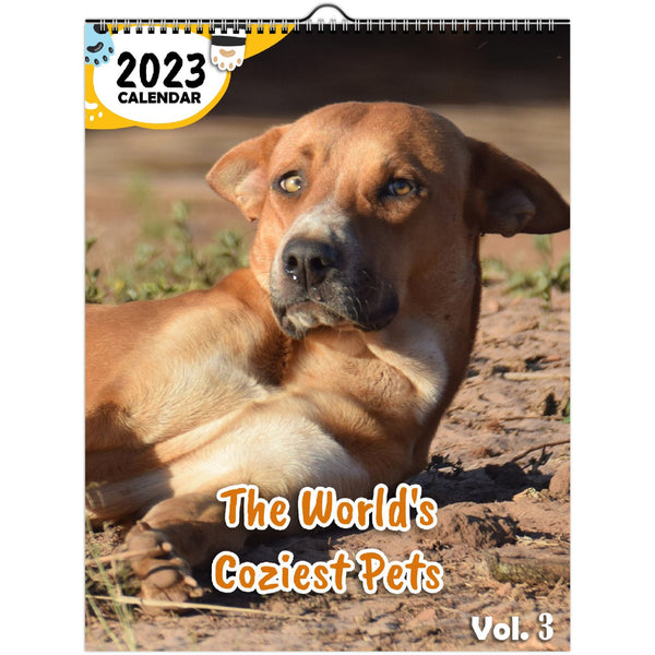 The World's Coziest Pets Volume Three: 2023 Wall Calendar
